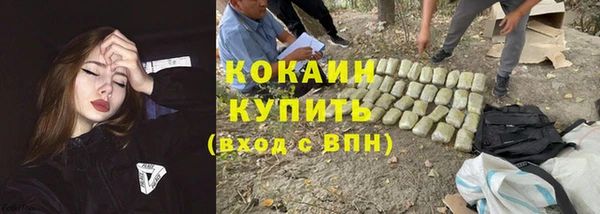 apvp Новозыбков