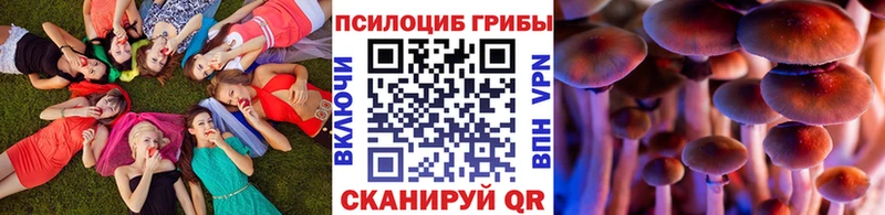 магазин  наркотиков  Белебей  Псилоцибиновые грибы Cubensis 